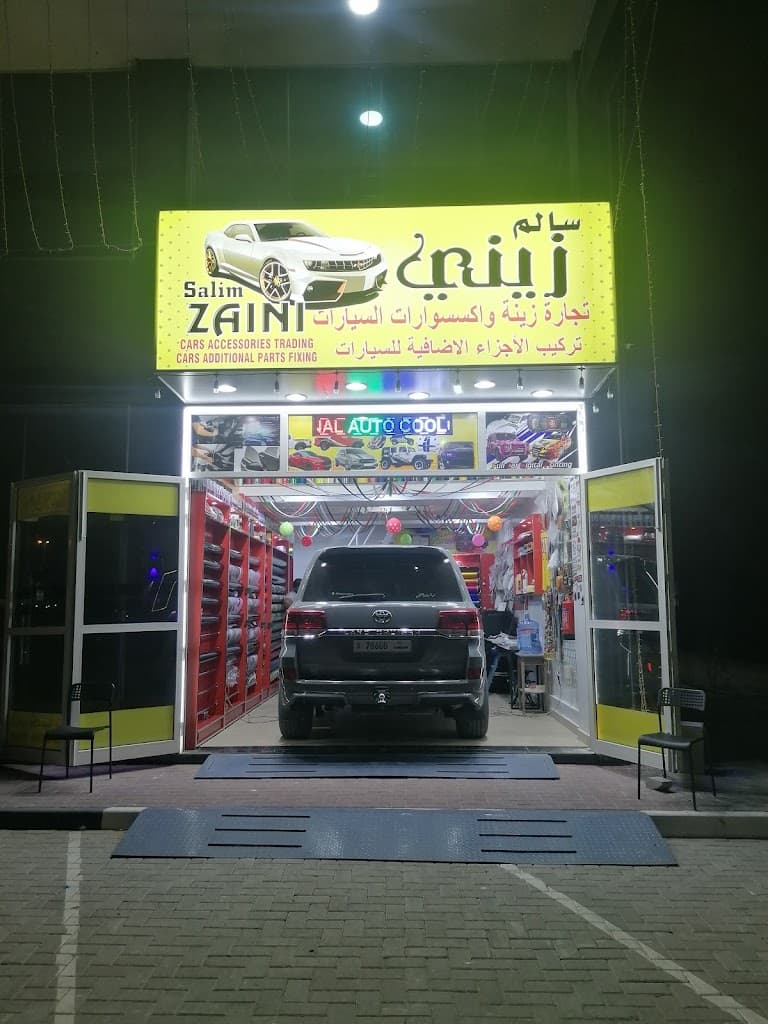 Salimzainicars