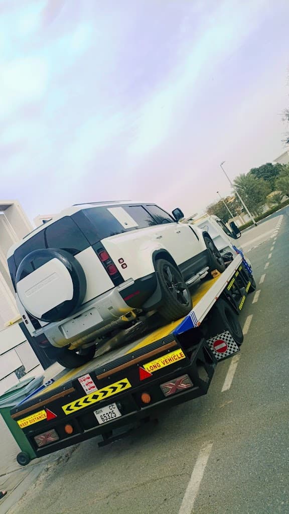 Mizhar recovery services