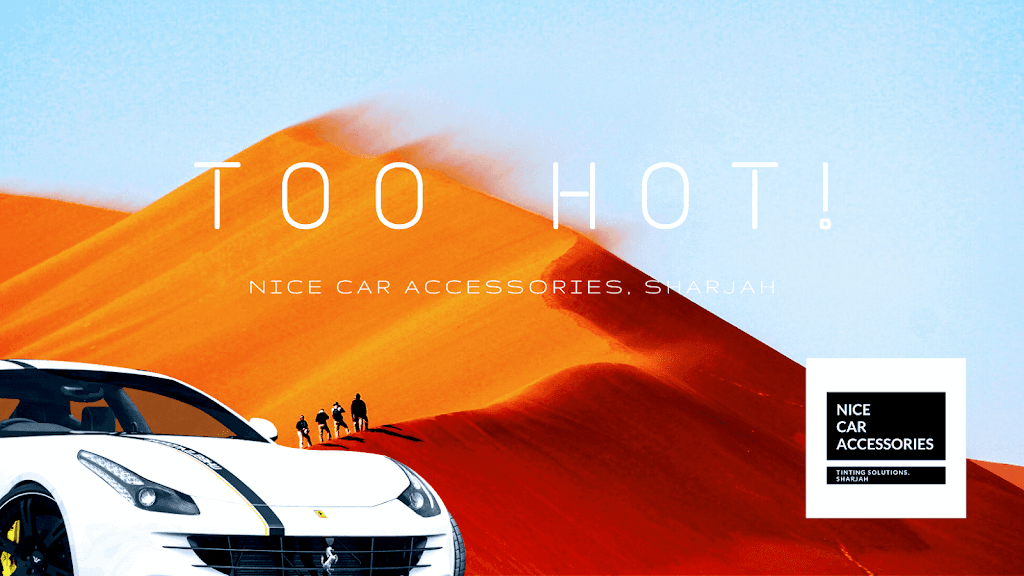 Nice Car Accessories and Tinting Solutions