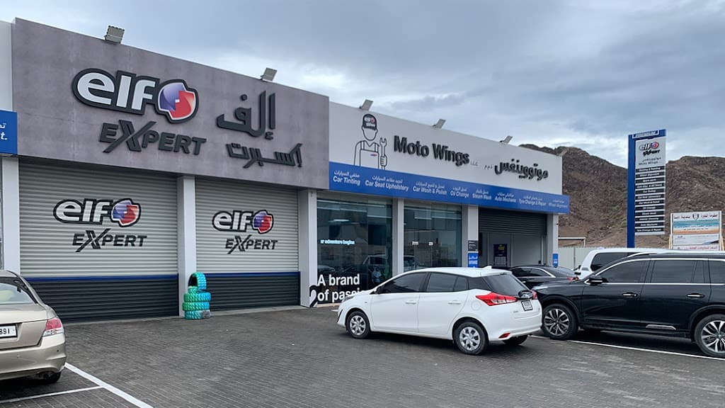 Elf Expert Premium - Motowings